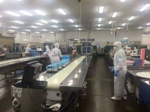 南充貝斯特 專業出國勞務工簽與全方位出入境服務